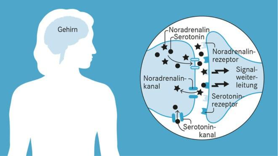 Ein Mensch mit dem Gehirn und verschiedene Kanäle